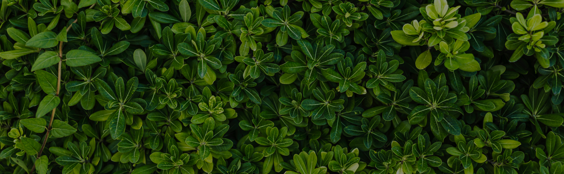 How to use LED lights in cold environments