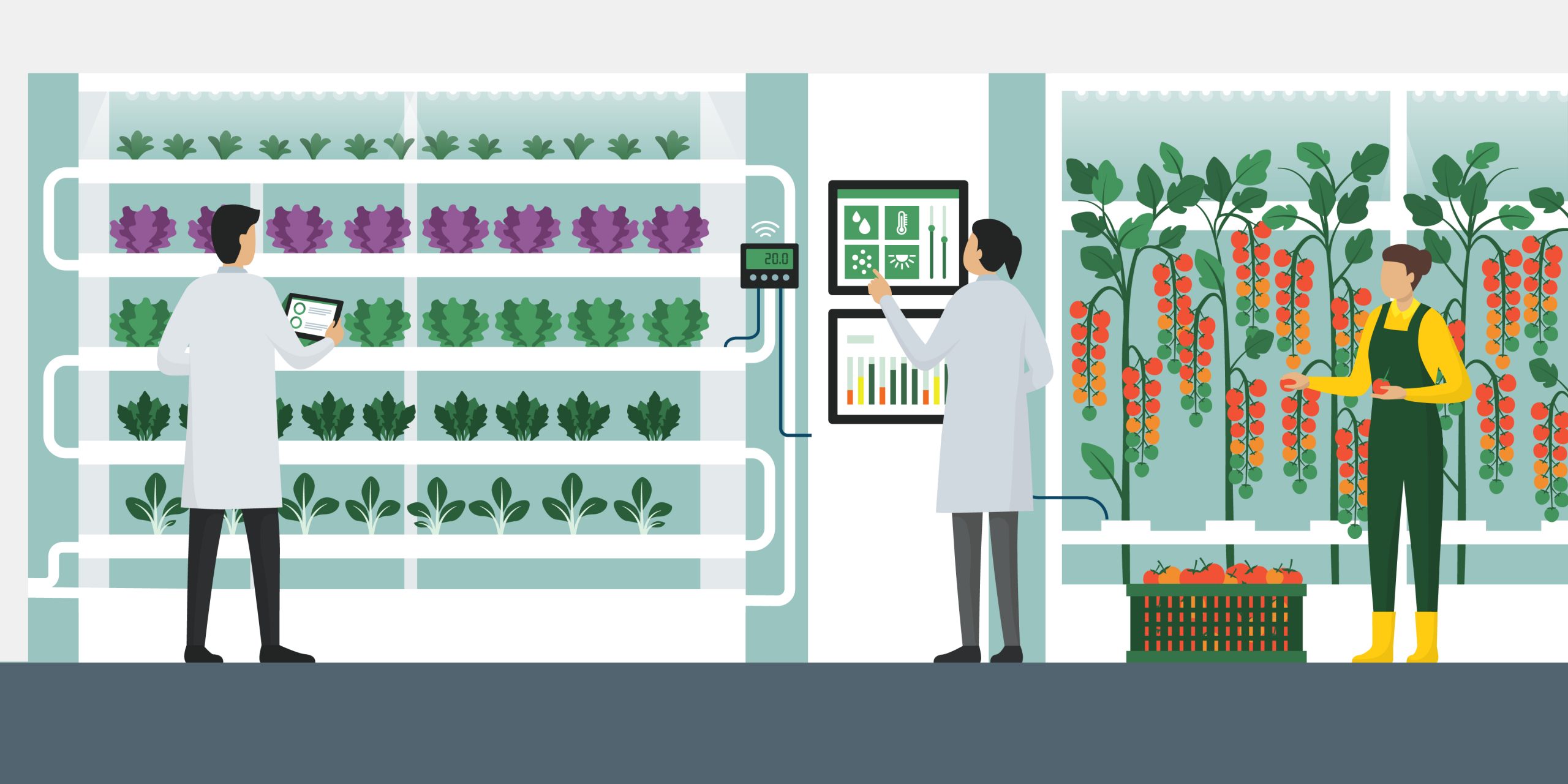 How to build a successful vertical farm