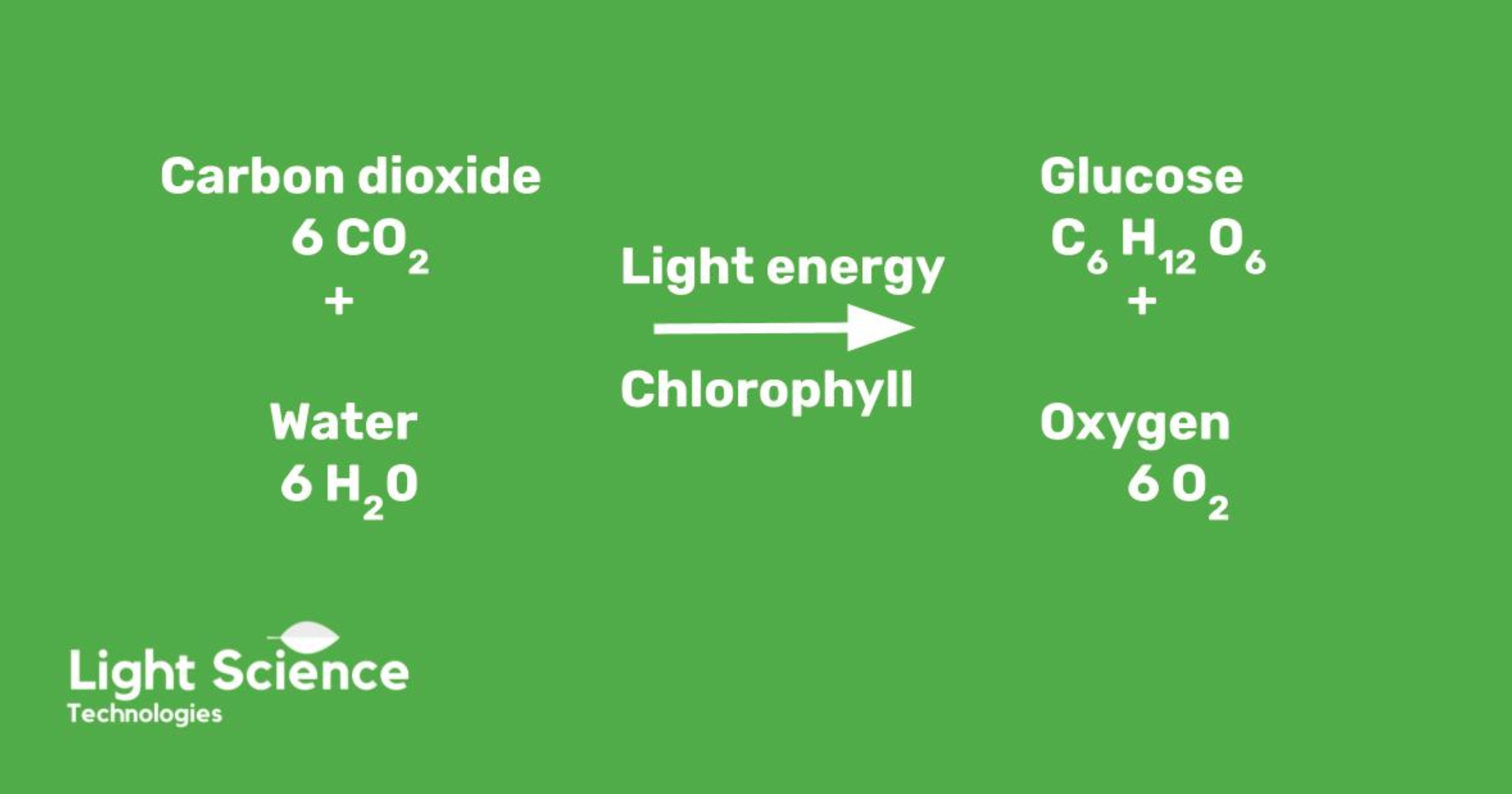 Photosynthesis in numbers