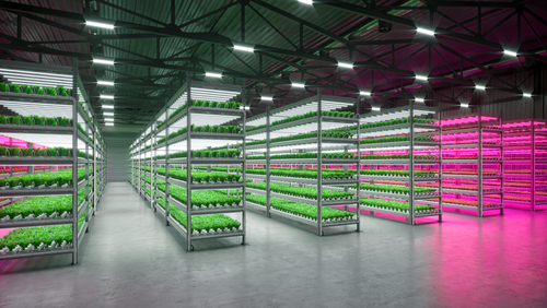 Why choose bespoke LED grow lighting? 