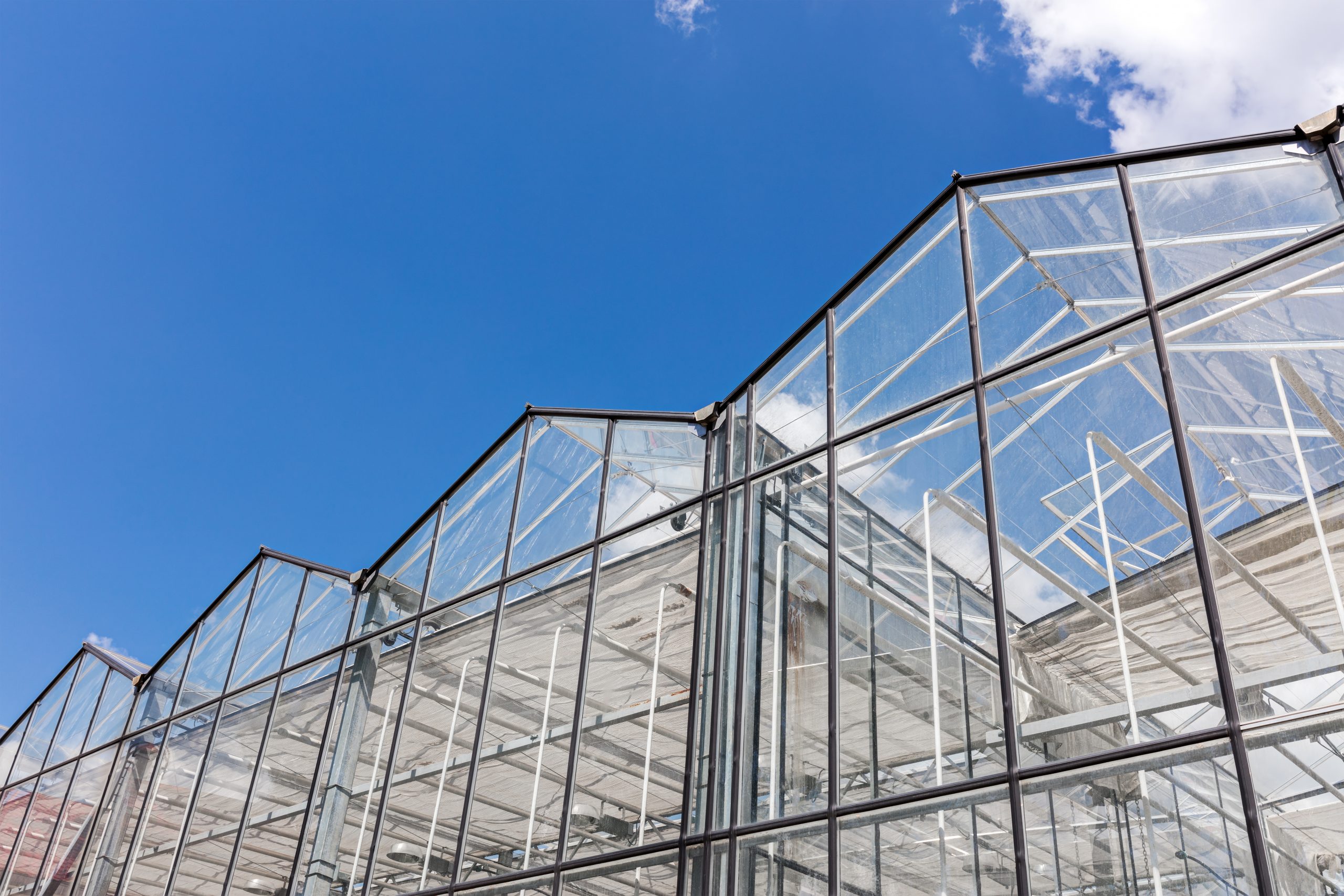 LED vs HPS Grow Lights guide