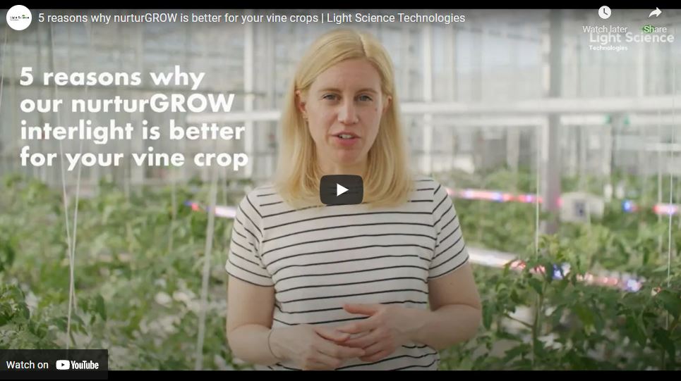 5 reasons why nurturGROW is better for your vine crops | Light Science Technologies
