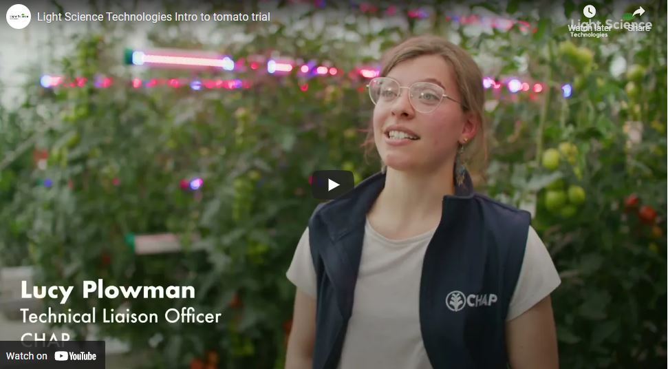 Stockbridge Technology Centre LST tomato trial