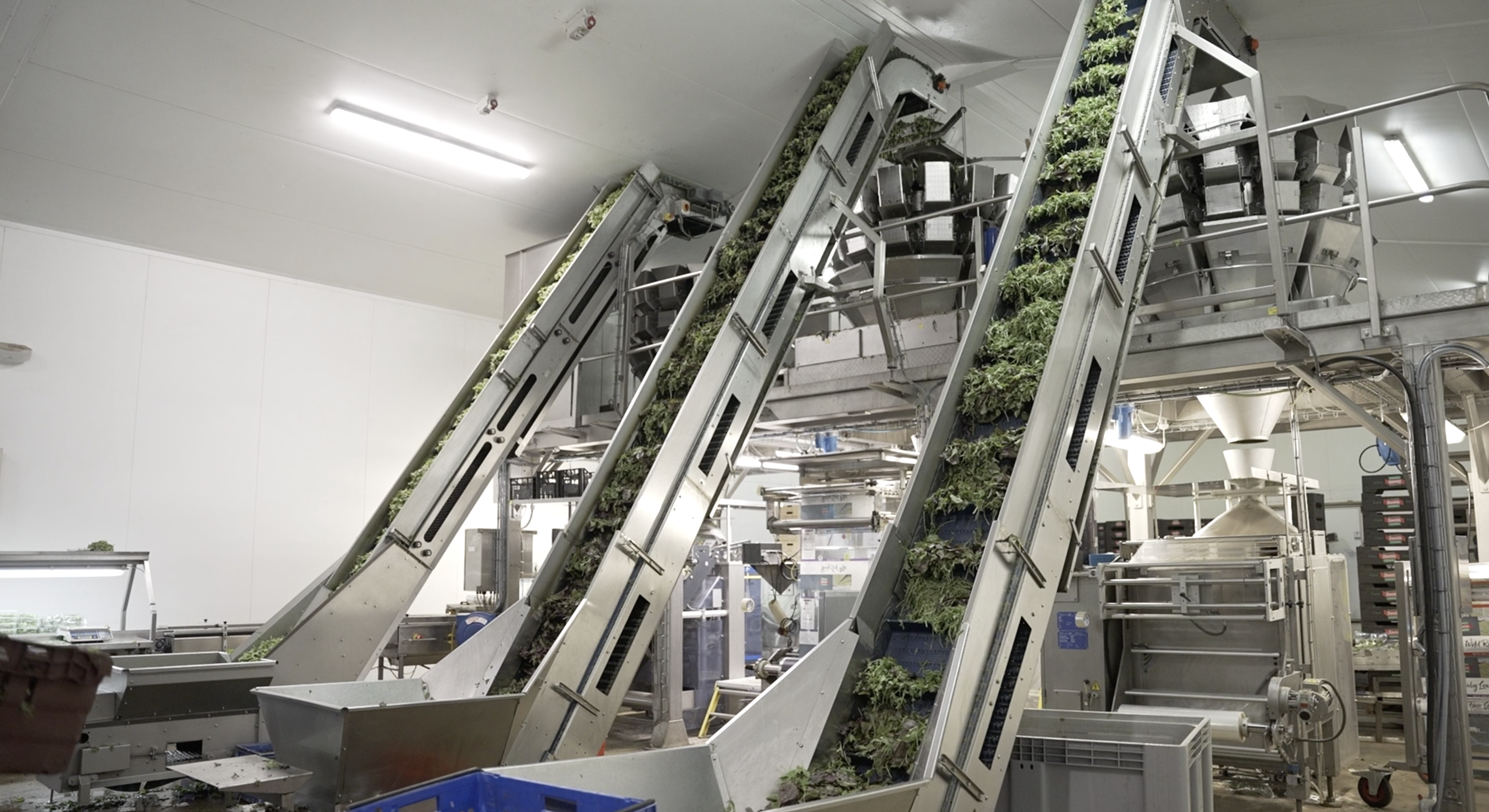 Calls for growers to respond to EFRA inquiry into UK’s food security