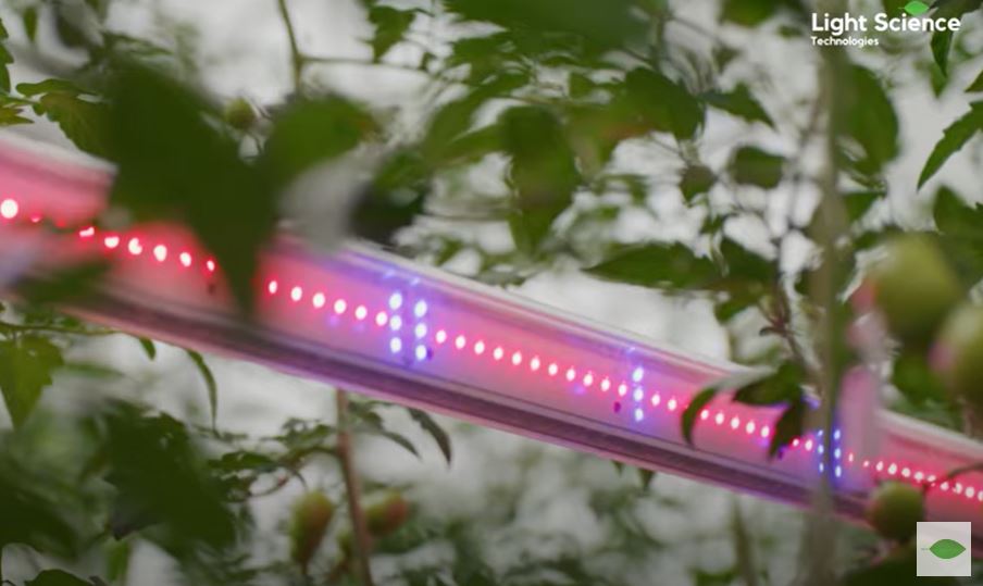 5 reasons why nurturGROW is the most sustainable LED grow light on the market