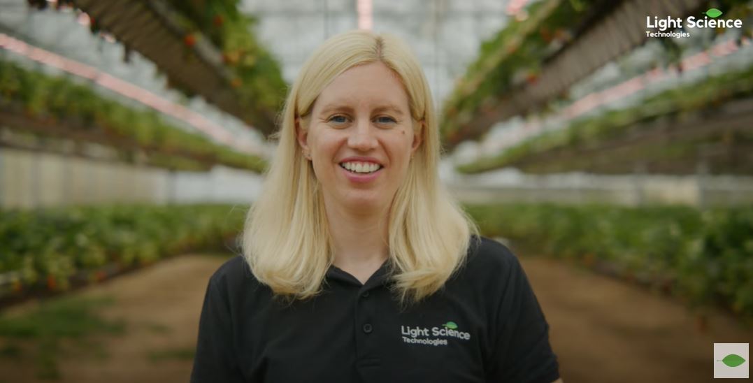 Three facts about UK soft fruit production