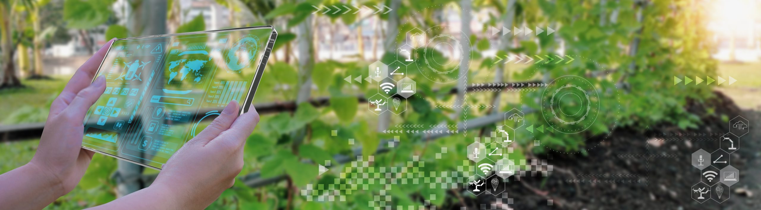 The Future of Food: Now or Never