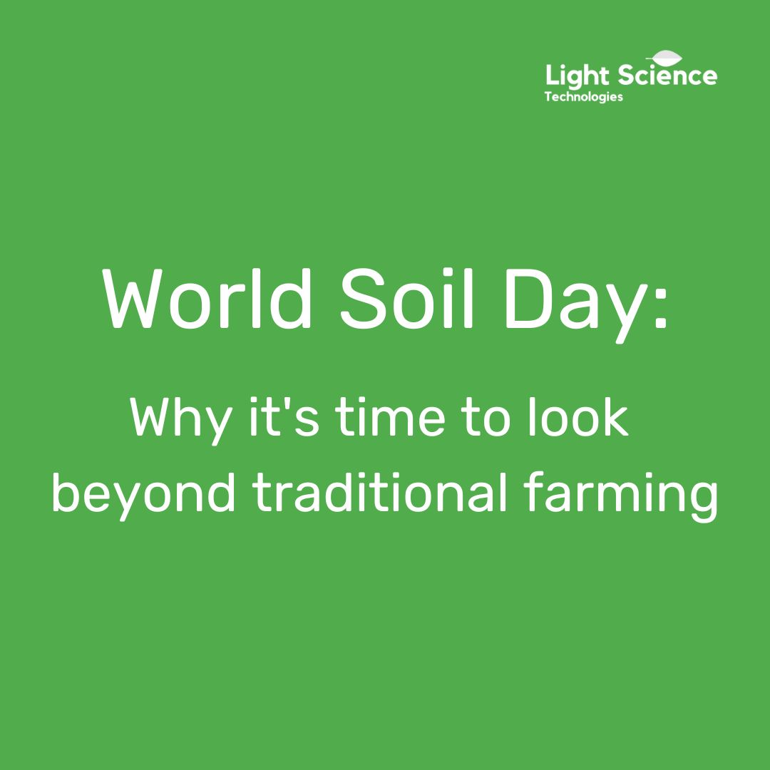 World Soil Day: why it’s time to look beyond traditional farming