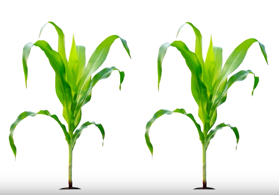 Will we grow enough food? A potential $1.3 trn market opportunity.