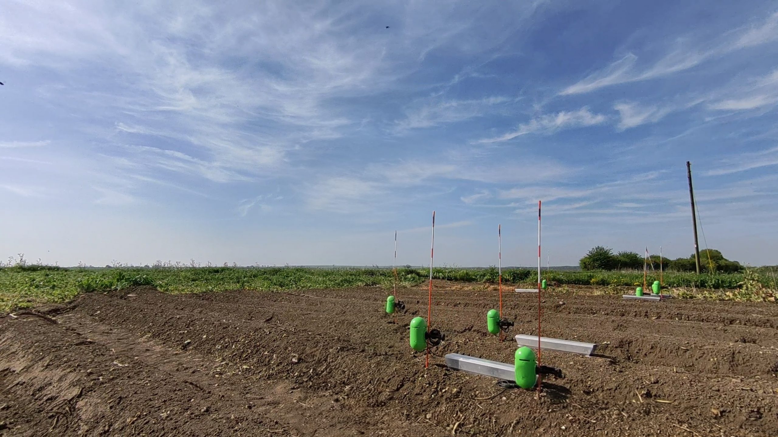 5.8 million records logged as progress made in TRIP trials