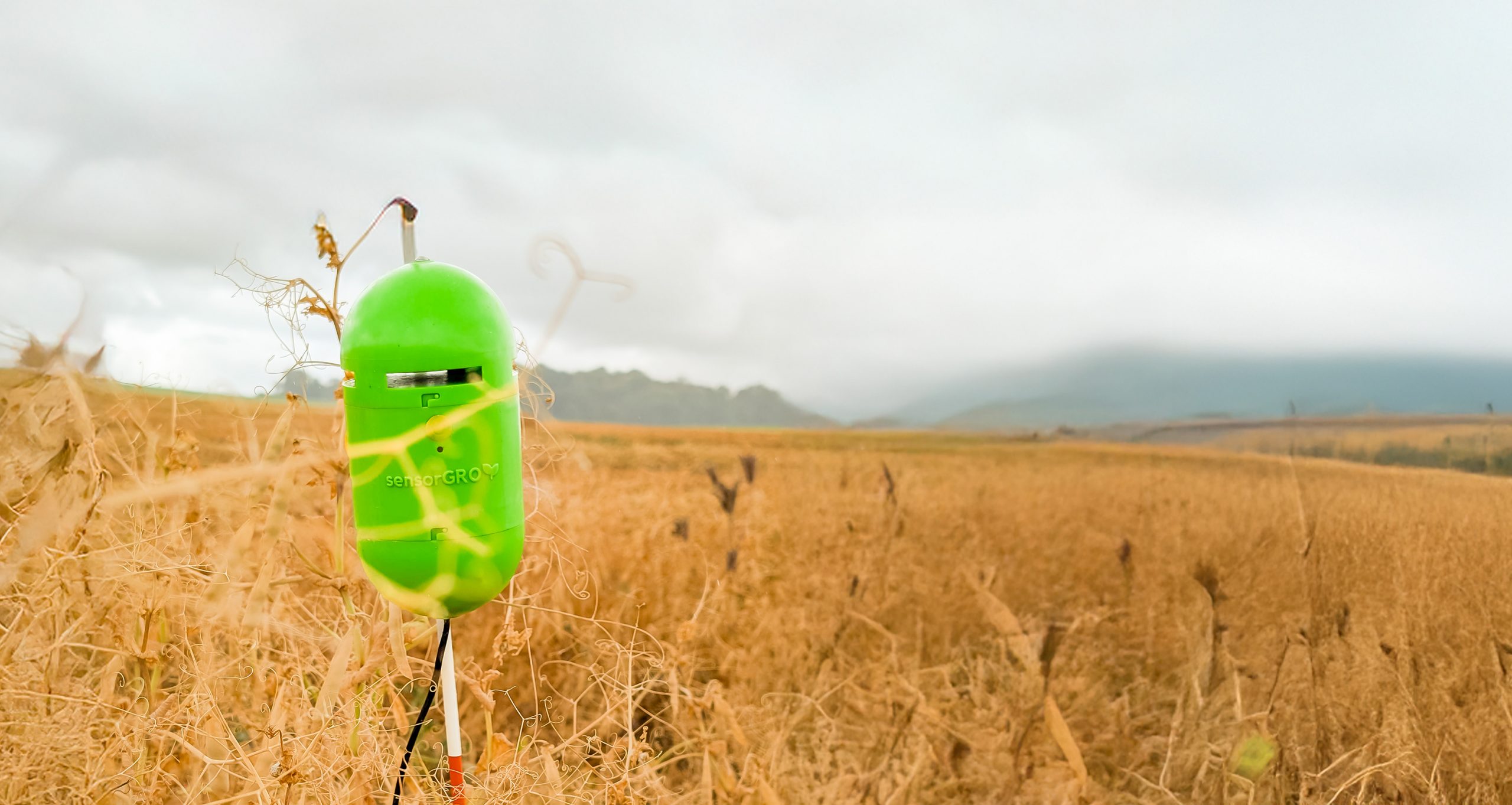 Picture of the SensorGROW monitoring the trials